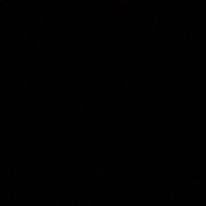 Meet your Posher, Sebastian